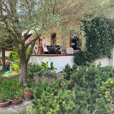Vila Casa Bonollo